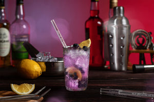 Dachshund Glass Straws 6 Funny Dachshund Quotes for All Dog Lovers