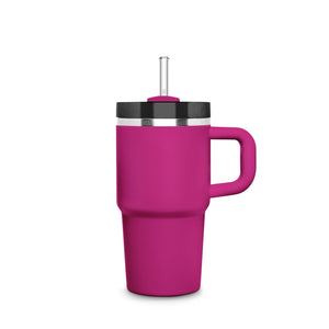 6x 21.5 cm Stanley Glass Straws for 0.59 20oz Cup & Quencher