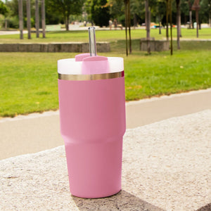 6x 21.5 cm Stanley Glass Straws for 0.59 20oz Cup & Quencher