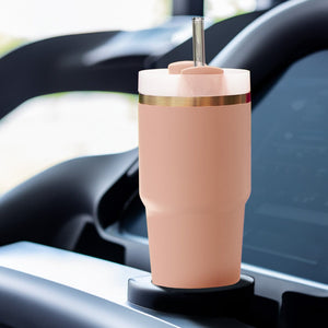 6x 21.5 cm Stanley Glass Straws for 0.59 20oz Cup & Quencher