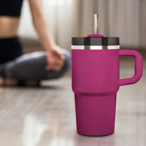 6x 21.5 cm Stanley Glass Straws for 0.59 20oz Cup & Quencher