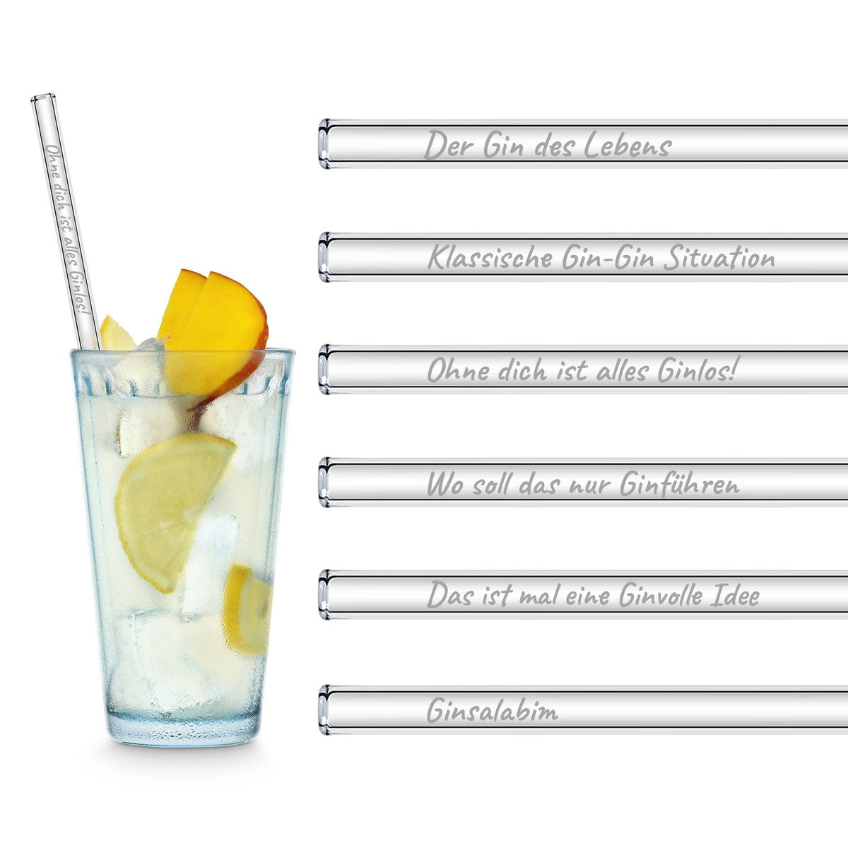 HALM Glasstrohhalme Der Gin des Lebens Edition gravierte mit 6 lustigen Gin Tonic Sprüchen