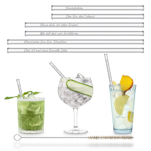 HALM Glasstrohhalme Der Gin des Lebens Edition gravierte mit 6 lustigen Gin Tonic Sprüchen